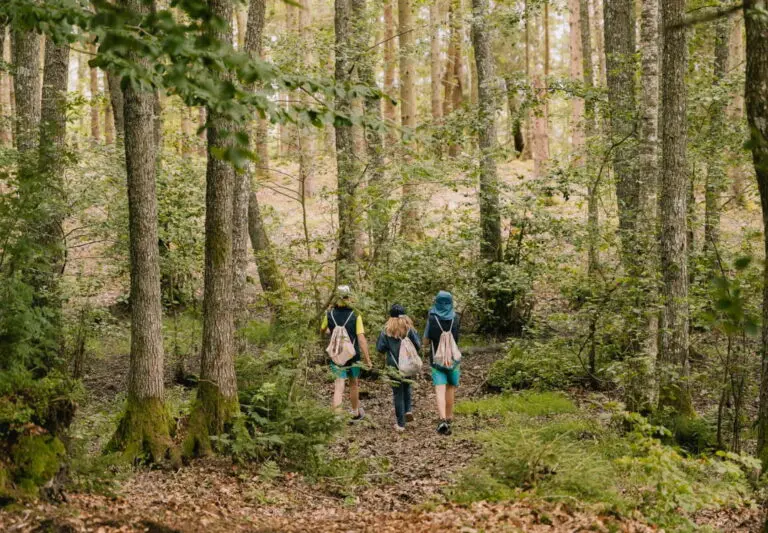 Mullerthal wandelen