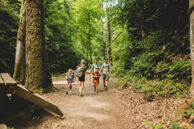 family hiking through a lush green forest trail